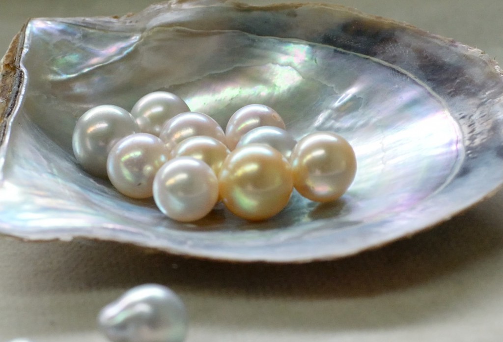 生命（いのち）ある真珠の輝きの真珠