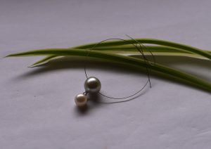 アコヤ真珠のルース売り　素材　半製品