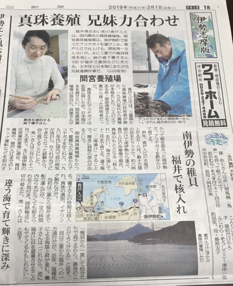 日本最北の福井県 若狭の海にて真珠の養殖。三重の海にて母貝作り