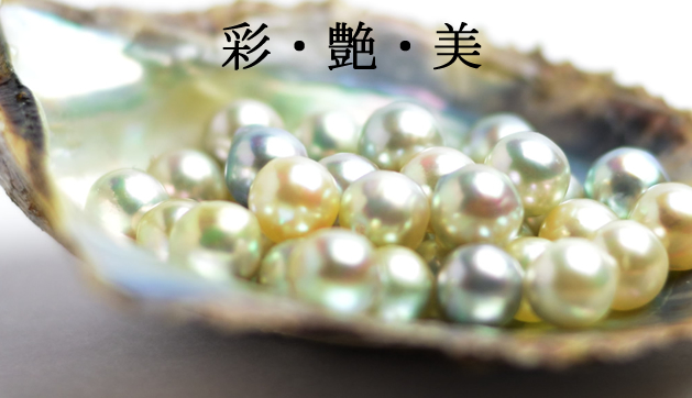 日本の「あこや真珠」は「和珠」とも呼ばれていて、様々な色彩と艶やyかな光沢が相まって美しい