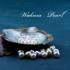 日本最北端の海で育てた艶々の真珠！若狭パールMamiya
